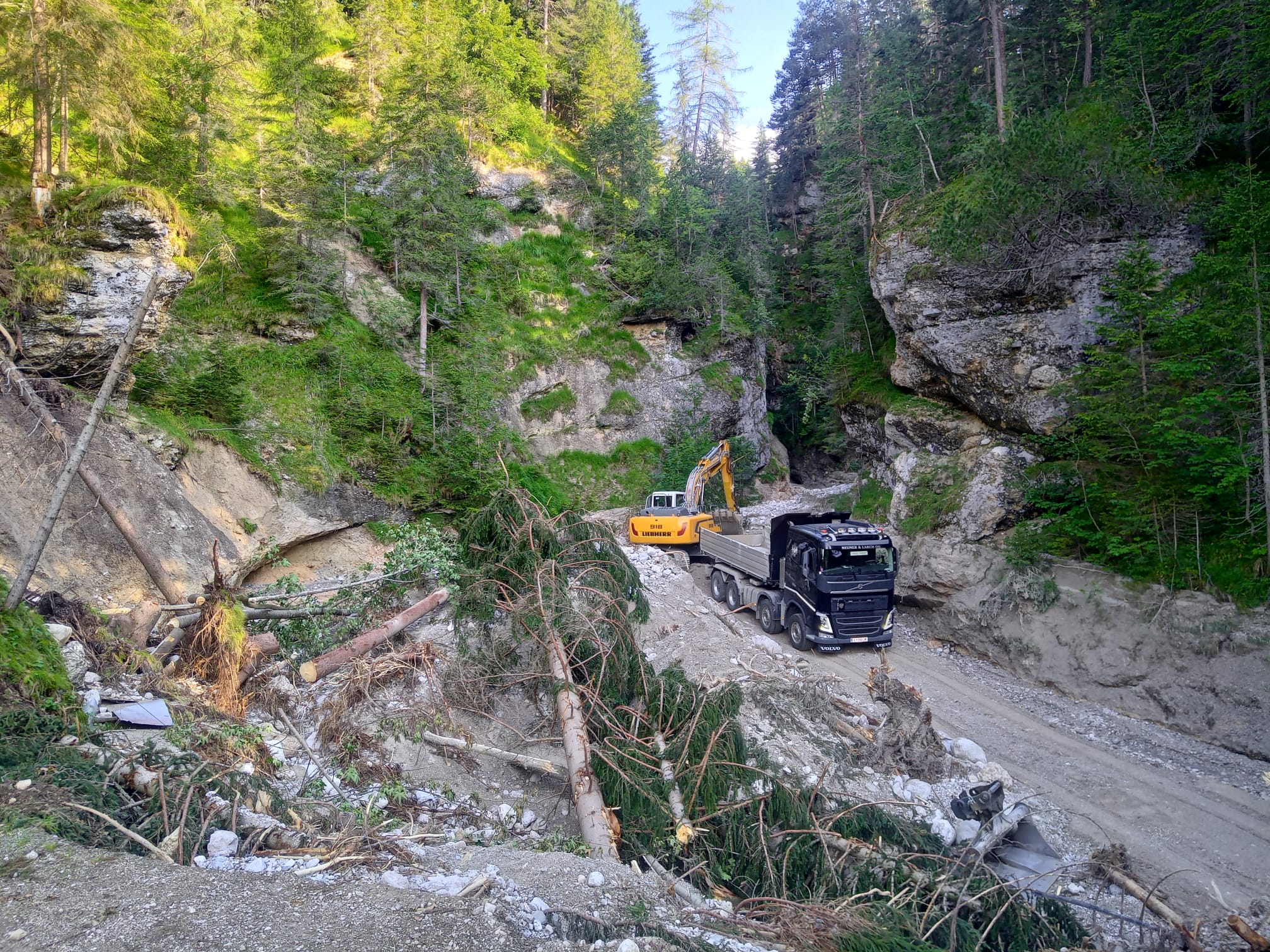 Bagger und Kipper beim Wegebau in einer felsigen Waldschlucht.